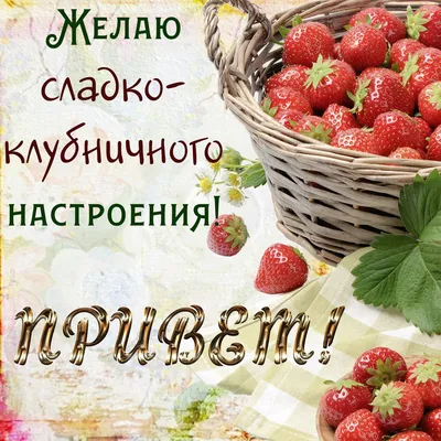 Болею... чай из облепихи, мед всем…» — создано в Шедевруме