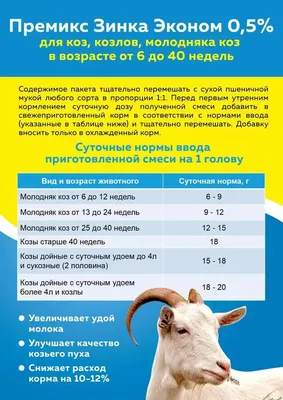 Что влияет на продолжительность жизни козы? - Группа компаний Капитал ПРОК