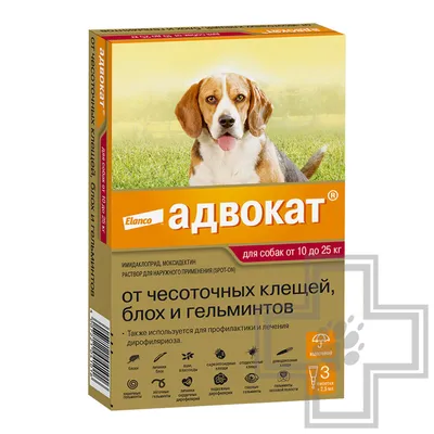 Фронтлайн Спот Он для Собак 10-20 кг - Купить с Доставкой по Москве