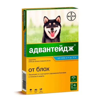 Адвантикс - капли для собак. Инструкция и цена препарата.