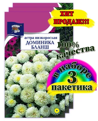 Семена Цветы, Астра, Абрикосовая башня, 0.3 г, пионовидная, цветная  упаковка, Поиск в Москве: цены, фото, отзывы - купить в интернет-магазине  Порядок.ру