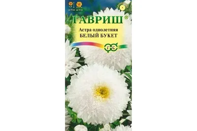 Сейте астры под зиму | Разное, Зима