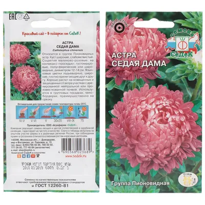 Когда сажать астры на рассаду и как это делать - Лайфхакер