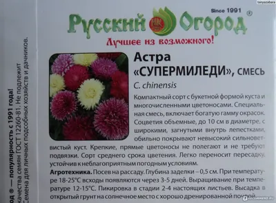 Почему астры не всходят после посева: как активировать семена простым  способом |
