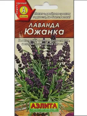 Лавандовое поле на своем участке – интервью с хозяйкой лавандовой фермы |  Личный опыт (Огород.ru)