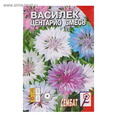 Семена цветов Василек \"Центарио\", сместь, 0,2 г (5488620) - Купить по цене  от 11.80 руб. | Интернет магазин SIMA-LAND.RU