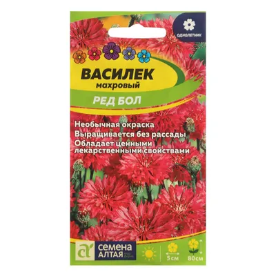 Семена цветов Василек \"Ред Бол\", Сем. Алт, ц/п, 0,5 г (7349747) - Купить по  цене от 20.70 руб. | Интернет магазин SIMA-LAND.RU