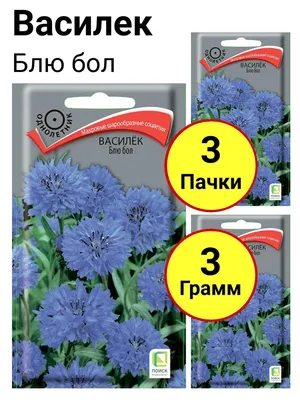 Семена цветов Василек \"Центарио\", сместь, 0,2 г (5488620) - Купить по цене  от 11.80 руб. | Интернет магазин SIMA-LAND.RU