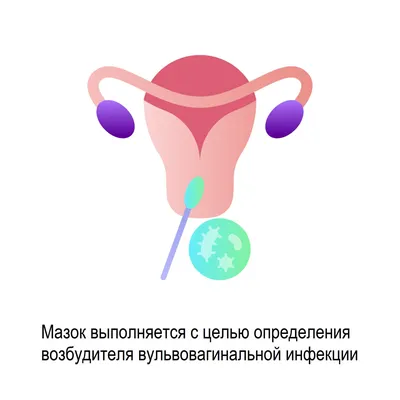 Вульвит - причины появления, симптомы заболевания, диагностика и способы  лечения