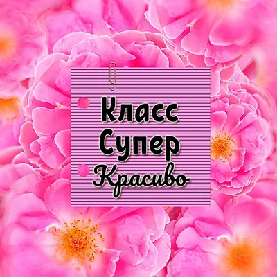 Вы такие классные картинки