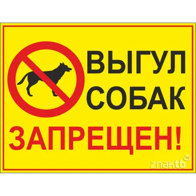 Выгул собак на территории Гусева разрешён только в специально отведённых  местах » Информационный сайт города Гусева