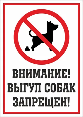 Организация и обустройство площадок для выгула собак — Городок