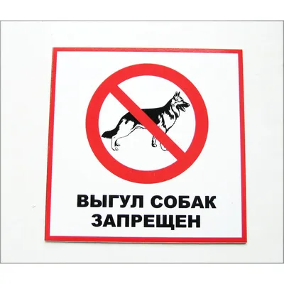 Какой штраф предусмотрен за выгул собаки без поводка и намордника