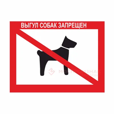 профессиональная выгул собак. мужчина ходит с питомцем. векторная  иллюстрация на белом фоне Иллюстрация вектора - иллюстрации насчитывающей  группа, счастливо: 213081690