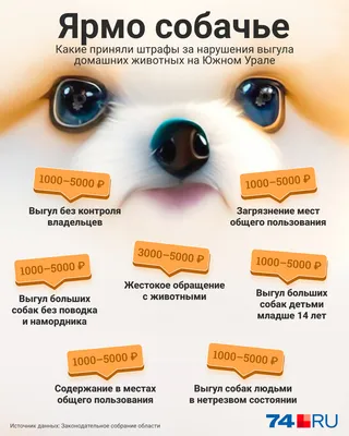 Табличка Выгул собак запрещён купить по цене от 990 ₽, доставка по России