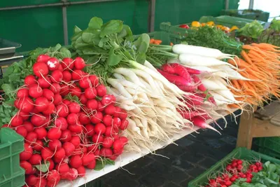 ➤ Холодильные витрины для овощей и фруктов, ❆ купить холодильник для овощей  и фруктов, Киев, цена - HolodMax