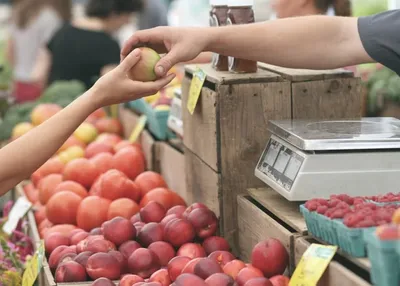 Мерчандайзинг в продуктовом магазине и супермаркете: основы и правила