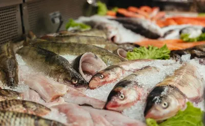 ➤ Холодильные витрины для рыбы, ❆ купить морозильную витрину для рыбы,  сравнить цены, Киев, цена - HotMax