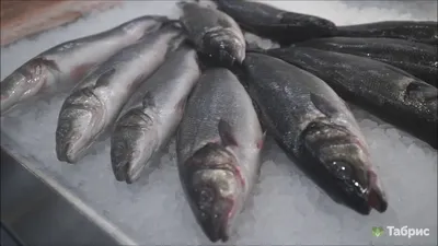 Выкладка рыбы на витрине рыбка на льду в магазине - YouTube