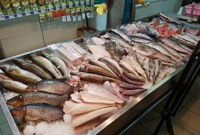 Рыба: проблемная и прибыльная | Retail.ru