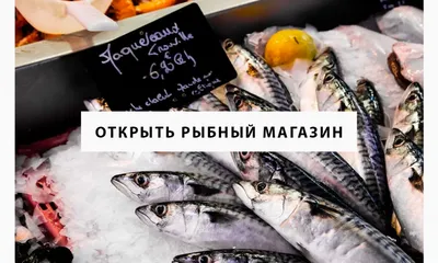 Оформление рыбных магазинов - оформление витрин в Москве по недорогой цене  на Reklam.ru