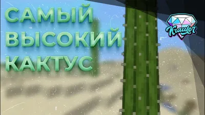 Купить Дерево искусственное для декора интерьера БЕРЁЗА, высокое  декоративное растение 135 см / 1 шт. по выгодной цене в интернет-магазине  OZON.ru (490479315)