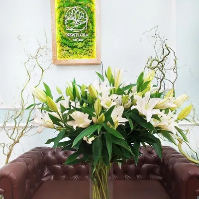 Лилии высокие светлые — купить в Красноярске. Садовые цветы на  интернет-аукционе Au.ru