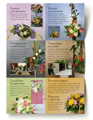 Вывески цветочных магазинов фото фотографии