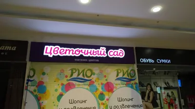 Реклама цветочного магазина | Пикабу