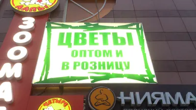 Вывески для цветочных магазинов: все начинается с взгляда - Ремонт и  строительство // Арсеньевские вести