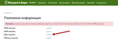 Каким образом и как быстро происходит вывод средств? - CryptoCloud