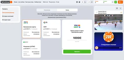 Вывод средств на Visa QIWI Wallet - Справка - Помощь - SAPE.RU