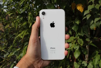 Apple iPhone XR - 64 GB - White (Unlocked) (Dual SIM) for sale online | eBay