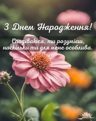З Днем Народження 'картинки' | Vinnytsia