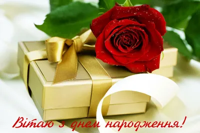 Щирі вітання з Днем народження селищному голові Дмитру Михайловичу –  Кутська селищна рада