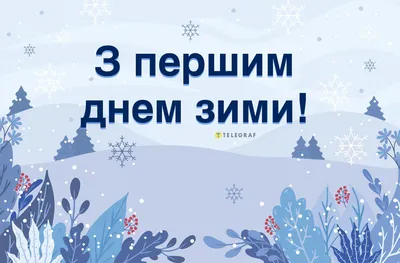С первым днем зимы - открытки и прикольные поздравления - Главред