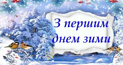 Первый день зимы 2024 - картинки-поздравления с первым днем зимы -  Lifestyle 24