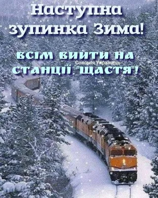 С первым днём зимы!☃️❄️🛷🤶 | Instagram