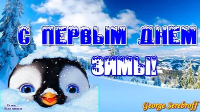 С первым днем зимы - поздравления, смс, картинки - поздравления 1.12.2019 -  какой сегодня праздник - новости сегодня