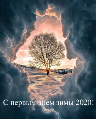 З першим днем зими 🎄🎄🎄 | Instagram