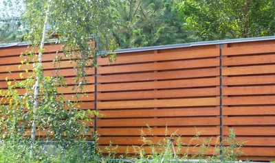 Забор из досок: вертикальный и горизонтальный, из необрезной и обрезной  доски | Zaun garten, Sichtschutz garten, Naturzaun
