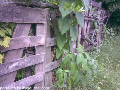 DIY: Pallet Fence | Cloture jardin, Idées de clôture, Déco jardin palettes