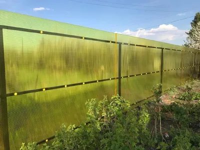 Забор из поликарбоната своими руками фото фотографии