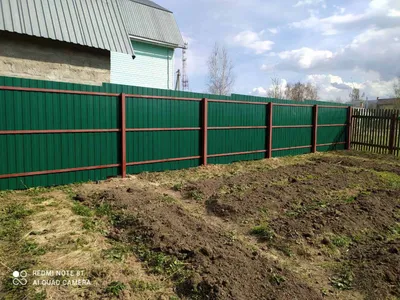 Забор из зеленого профнастила фото фотографии