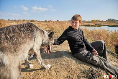 Прирученная зоологом волчица стала кинозвездой и фотомоделью - Российская  газета