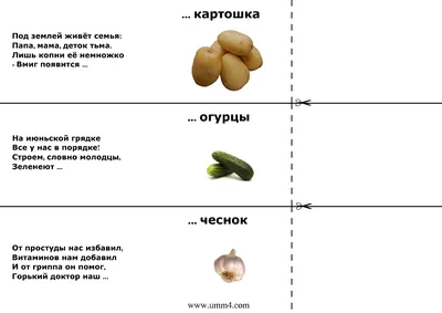 Загадки Про Овощи И Фрукты В Картинках – Telegraph
