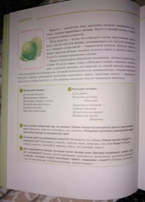 Овощи с грядки: 12 цветных карточек. Стихи и загадки купить по цене 78 ₽ в  интернет-магазине KazanExpress