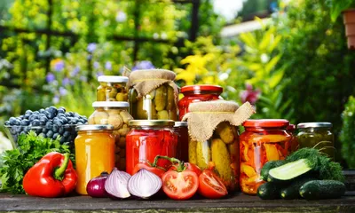 Что можно закрутить на зиму: 3 вкусных, быстрых и простые идеи с фото и  пошаговой инструкцией