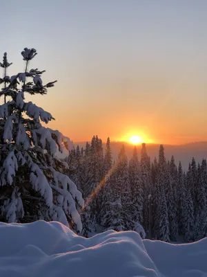 Закат солнца зимой фото