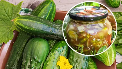 Этот слегка острый, невероятно вкусный салат из баклажанов по-корейски  можно делать и в качестве заготовки на зиму, и \"на сейчас поесть\" | Людмила  Плеханова Готовим вместе. Еда | Дзен